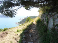 Palmaria Island - The road towards Pozzale<br>4320x3240, 2.36 MB