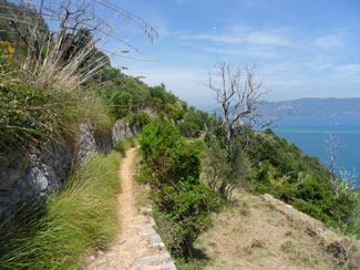 Insel Palmaria - Der Weg in der Richtung nach Pozzale<br>4320x3240, 2.52 MB
