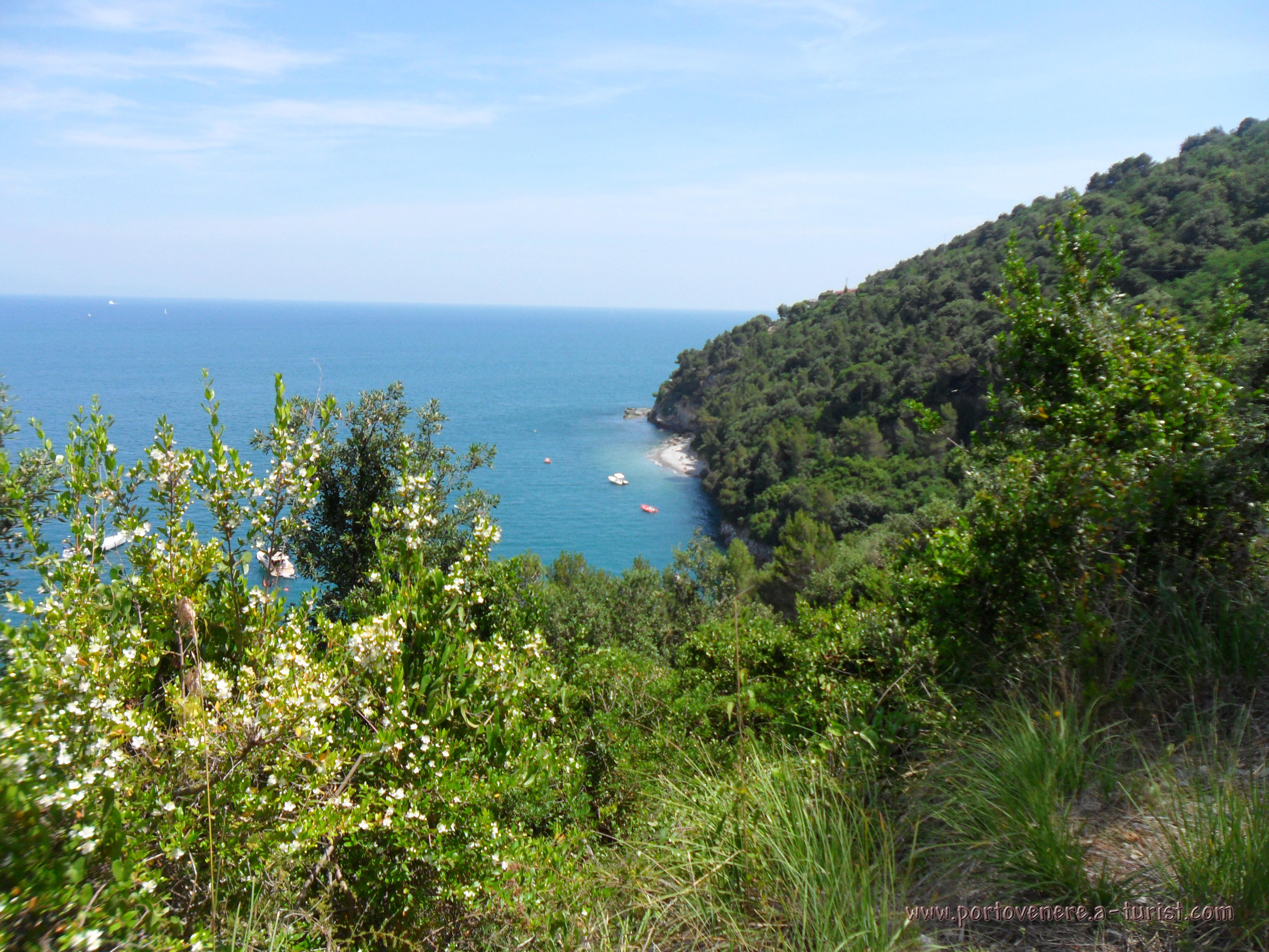 Palmaria Island - Hiking around the island<br>4320x3240, 2.02 MB